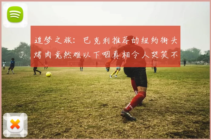 追梦之旅：巴克利推荐的纽约街头烤肉竟然难以下咽真相令人哭笑不得