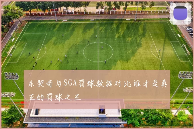东契奇与SGA罚球数据对比谁才是真正的罚球之王